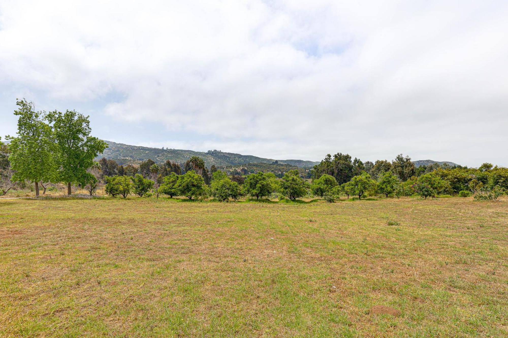 Escondido Vineyard Estate Walk To Wineries! Villa Buitenkant foto