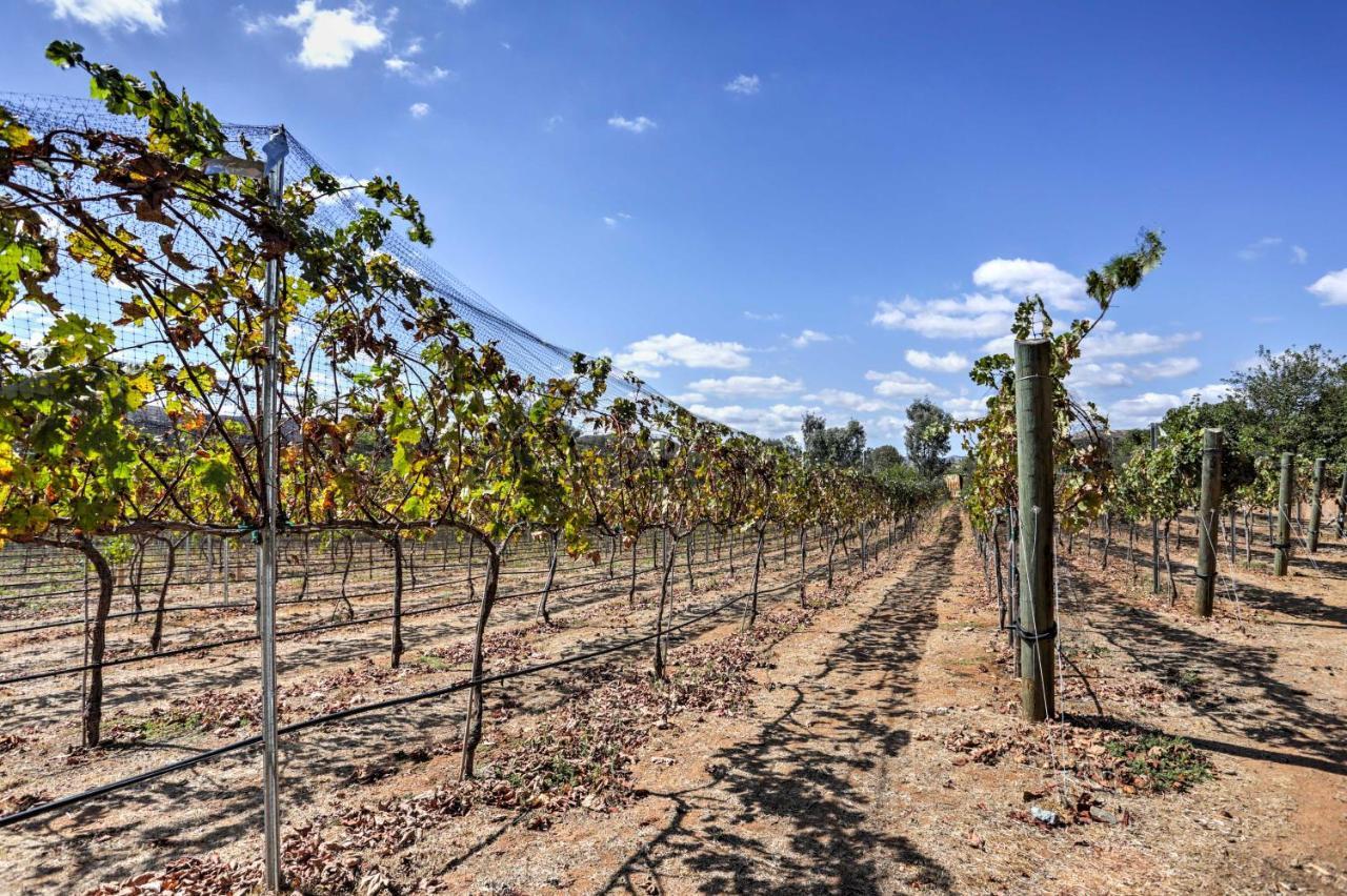 Escondido Vineyard Estate Walk To Wineries! Villa Buitenkant foto