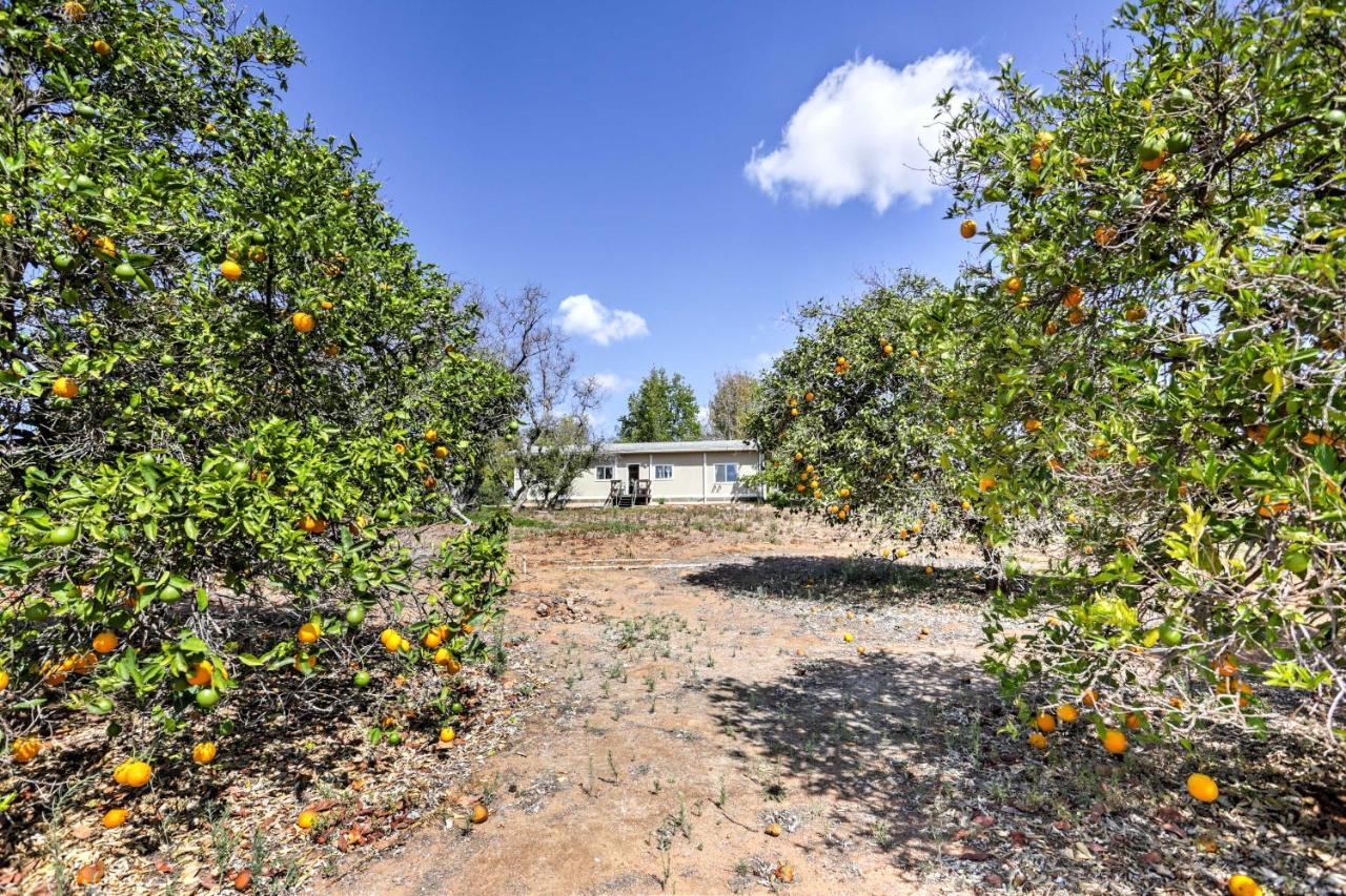 Escondido Vineyard Estate Walk To Wineries! Villa Buitenkant foto